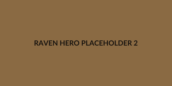 DEMO hero placeholder 2
