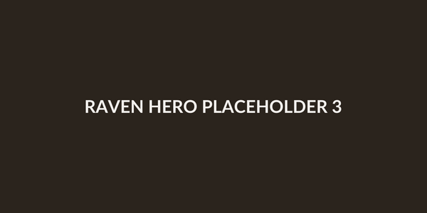DEMO hero placeholder 3