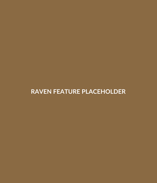 DEMO feature placeholder