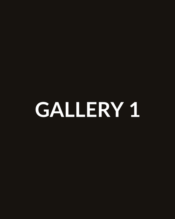 DEMO gallery 1
